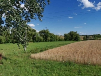 Продаж ділянки с.Підбірці 25 сот.